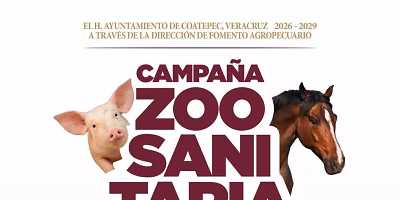 Government of Veracruz aligns policies for sustainable livestock development
