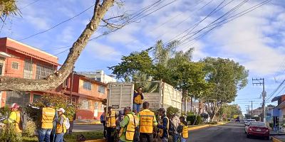 Urban sweeping, pillar of daily cleaning in Xalapa: authorities call for citizen co-responsibility