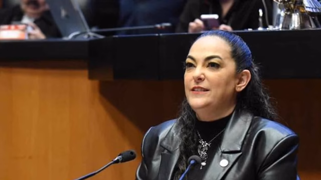 Drones criminales y techos verdes: la doble propuesta de una senadora