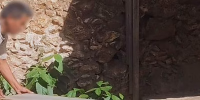 Profepa asegura más de cien animales en Yucatán por tráfico ilegal