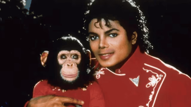 Bubbles: the story of the chimpanzee who was Michael Jackson's most popular pet