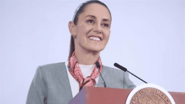Electoral Plan B is declared constitutional after state approval