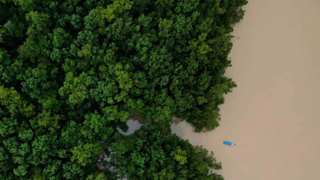Amazonía: Brasil inyecta 617 mdd en inversión ecológica