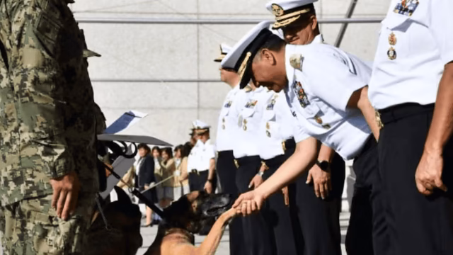 Semar se despede de ‘Niko’, ‘Hunter’ e ‘Hidra’, seus cães de elite