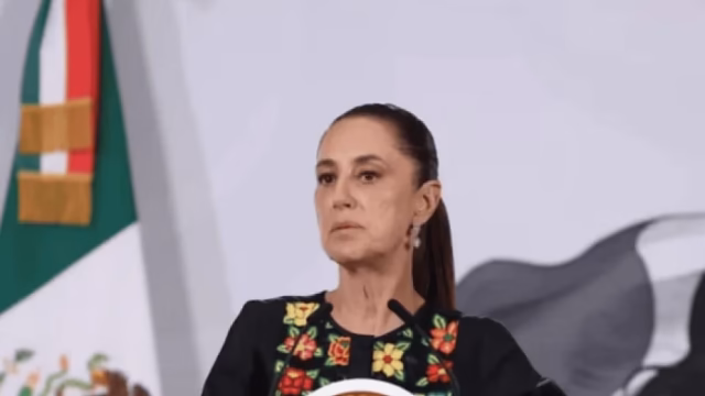Sheinbaum analisará compra de leite de produtores de Veracruz