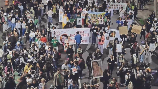 AI bittet darum, mögliche Verstöße bei Protesten von Suchmüttern zu dokumentieren