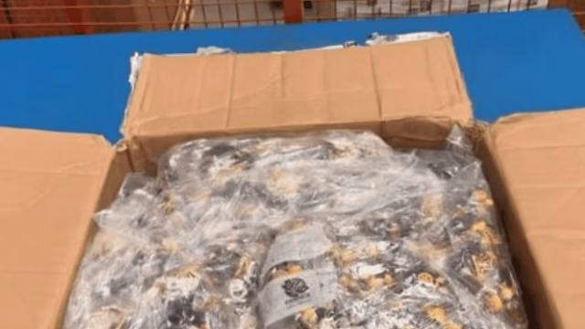 Aseguran 3 mil 366 juguetes que imitaban a Lego en Querétaro