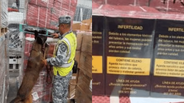 Decomisan 84 mil cigarrillos apócrifos en el AIFA