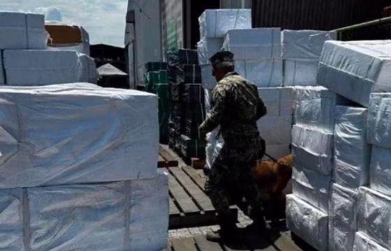 Decomisan más de ocho millones de cigarros apócrifos en Manzanillo