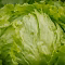 Falso positivo de la FDA afecta a productores de lechuga mexicanos