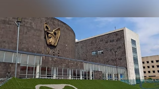 Alerta IMSS para imprensa financeira devido a pensamentos e desenvolvimento