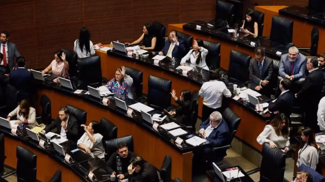 Morena solicita al INE y FGR investigar financiamiento irregular de Ruffo Appel