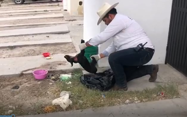 Hombre Sentado En Una Banca Cd4d6d56