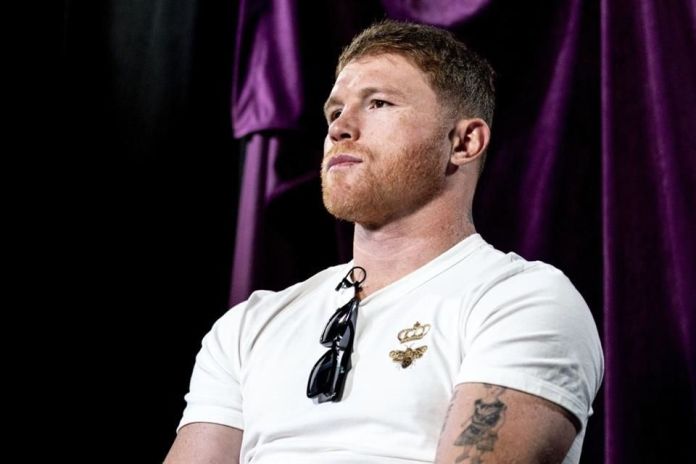 Tendra El Canelo Alvarez Su Propia Serie Animada