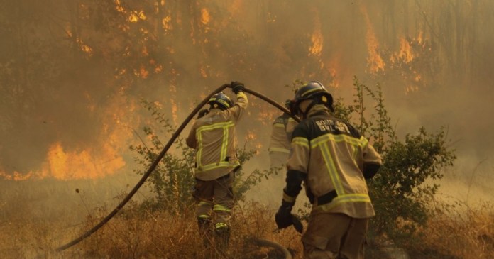 Aumentan Las Muertes Por Los Incendios De Chile