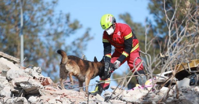 Recauda Cruz Roja 7 Mde Por Terremoto De Turquia