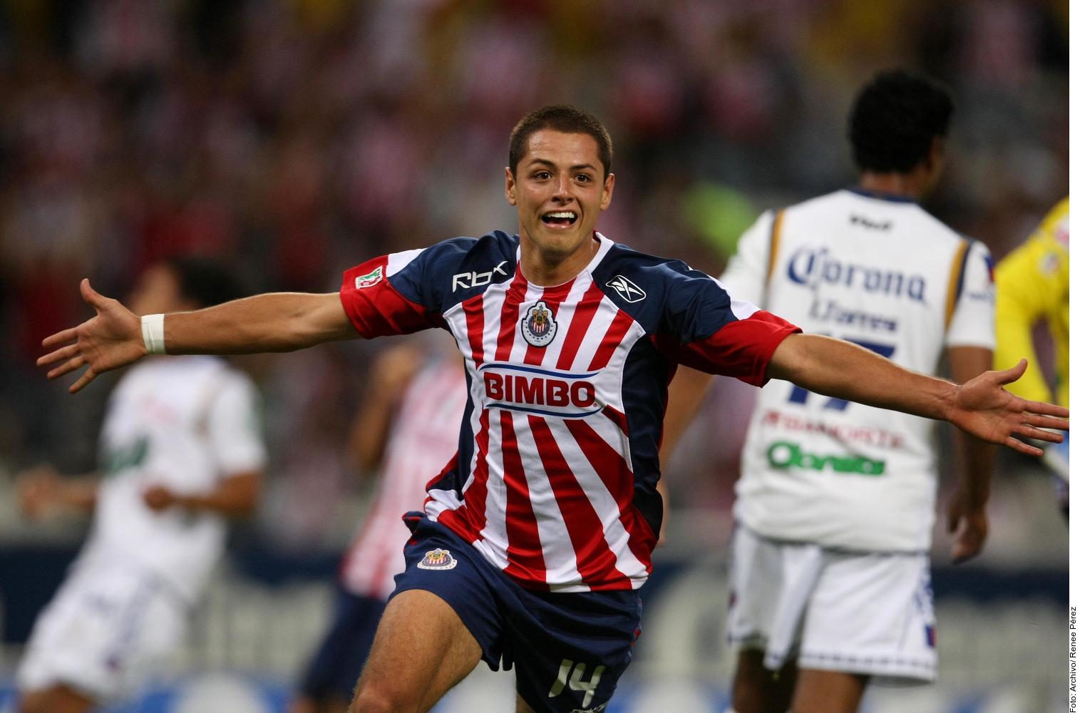 Confirma Guadalajara Regreso De Chicharito