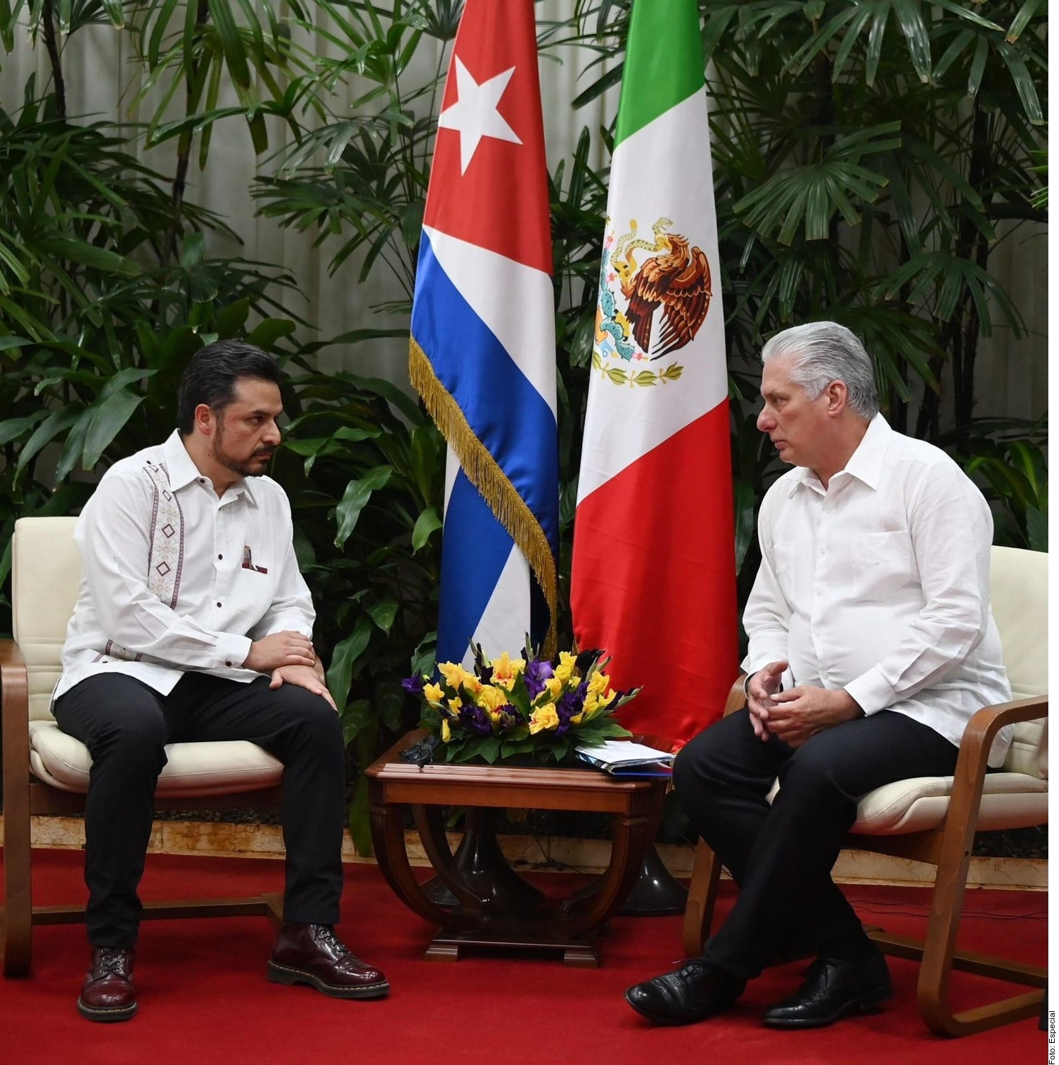 Apuesta Imss Por Mas Medicos Cubanos