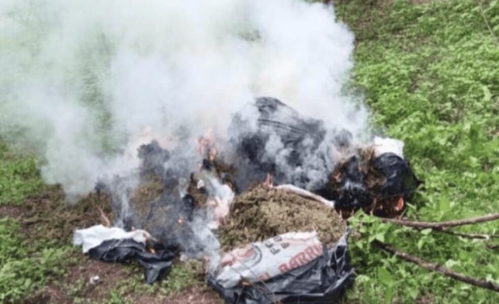 Fuerzas federales incautan químicos para droga en Culiacán y Cosalá