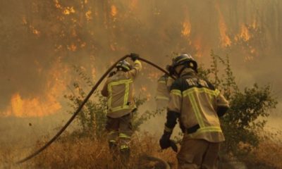 Aumentan Las Muertes Por Los Incendios De Chile