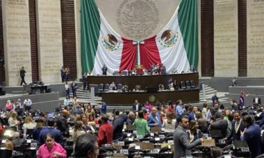 Avalan Diputados Crear Aerolicc81nea Del Gobierno 696x365 1