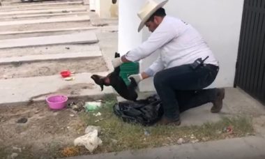 Hombre Sentado En Una Banca Cd4d6d56