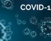 Covid 19 Visual